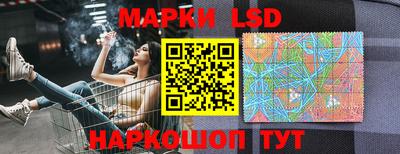 шишки Боровичи
